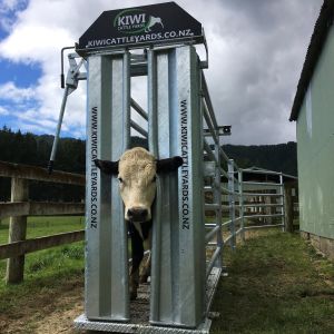 Rectangle Heavy Duty Cattle Crush PVC Coated+Powder Coated