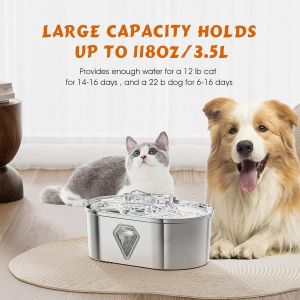 Pet Water Fountain with Advanced Filtration System | Ensure Clean and Healthy