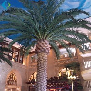 Indoor Landscape Decorative Artificial Phoenix Palm Tree Customized Size Durable
