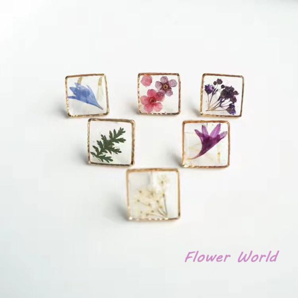 stainless steel earrings.jpg