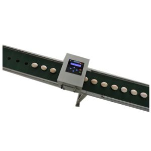 Cheap High Resolution Egg Continuous Inkjet Printer With Full - Disk Printing Method for sale