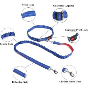 Adjustable Hands-Free Pet Dog Running Leashes Custom Logo Long Waist Double