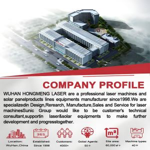 Fast Speed Laser Marking and Cutting Machine Designed for Fabric Leather Label