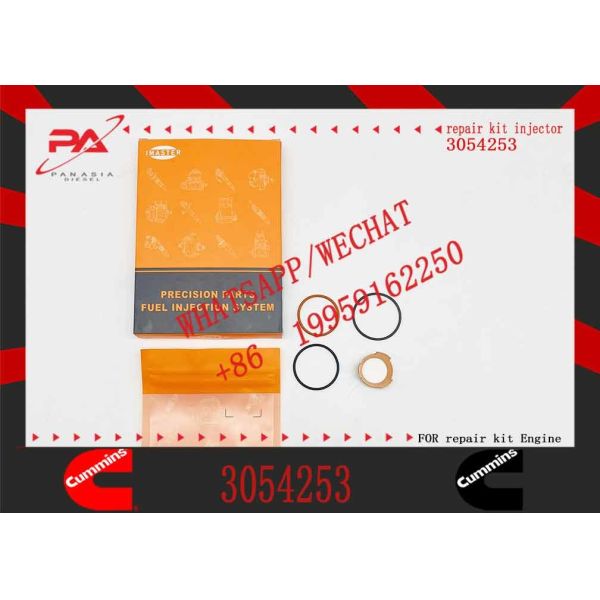 CUMMINS NT855 Diesel Engine Parts Injector Diesel Engine Part 3054253 CUMMINS
