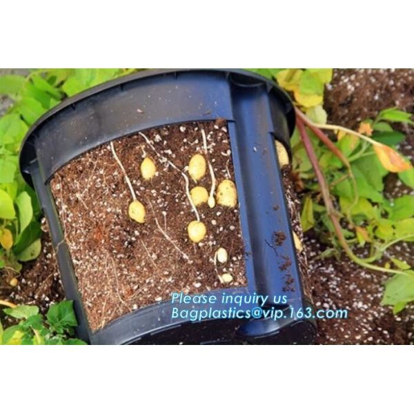 Plastic Garden Planter Pot Vegetable Growing Container Grow Vegetables: Potato,