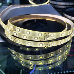Low voltage led strip light 3000K 4000K 5000K 6000K High CRI98 CE RoHS ETL SAA