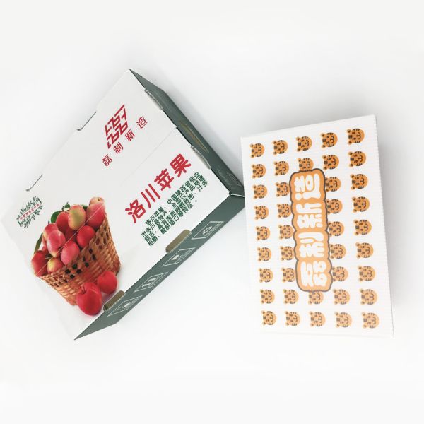 Moisture Resistance Reusable Corrugated Carton 4.0mm Plastic Turnover Box