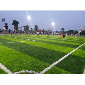 AVG 60MM Artificial Football Turf Artificial Carpet Artificial Grass