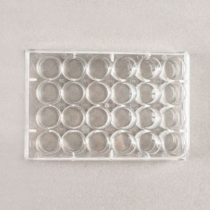 Non Treated Micro 24 Well Cell Culture Plate With Insert