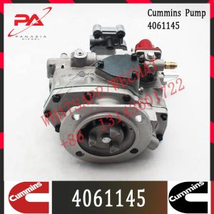 Cummins Diesel KTA19 Engine Fuel Injection Pump 4061145 4061182 4061206 4061228
