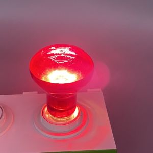 E27 50 Watt Reptile Bulb 75W 100W 150W Heat Lamp For Bearded Dragon