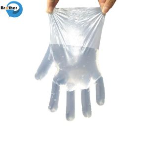 100% Biodegradable Transparent Disposable Waterproof Household Compostable