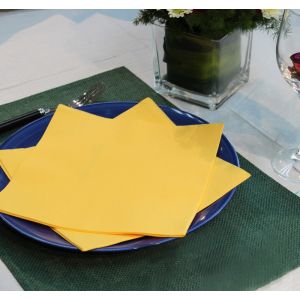 Brightly Color 15g-19g Disposable Table Napkins Tissue With Personality