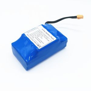 10 Years Lithium Factory 36V 4.4Ah OEM Lithium Battery With One Year Warranty