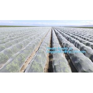 HDPE Virgin White Recycle Greenhouse Anti Insect Net,50 mesh cover greenhouse
