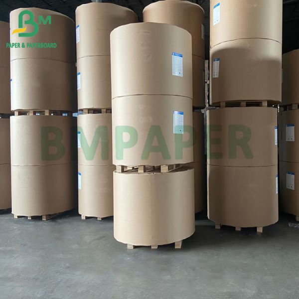 Quality 50gsm - 200gsm Sturdy Brown Kraft Paper Roll with Good Expansible wholesale