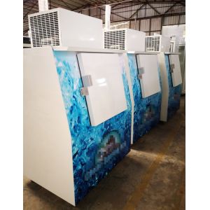 Slanted Solid Door Bagged Ice Merchandiser