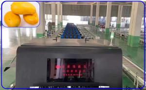 Cheap Detect Sugar Mechanical Fruit Sorting Machine Intelligent 2 Channel Mango Sorter for sale