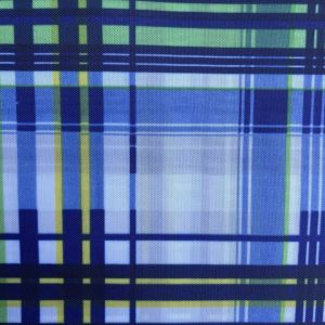 100%Polyester 63D*63D 58gsm 210T taffeta