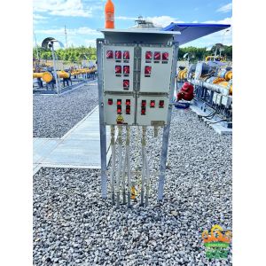 Ex Db Eb IIC T6 Gb Aluminum Wall Mounted ATEX Control Panel