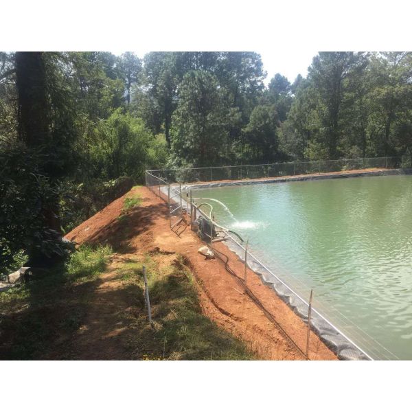 Quality 0.37KW - 165KW Solar Based Inverter / High Efficiency Solar Inverter wholesale