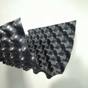 Cheap 30mm Height Double Side Dimpled HDPE Drainage Cell Sheet for Modern Green Roof Design for sale