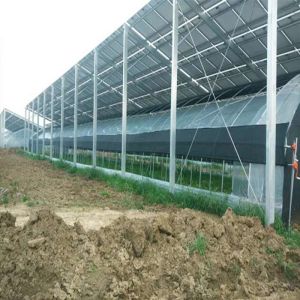 Industrial Commercial Al6005 Solar Panel Mounting Structure BIPV Greenhouse