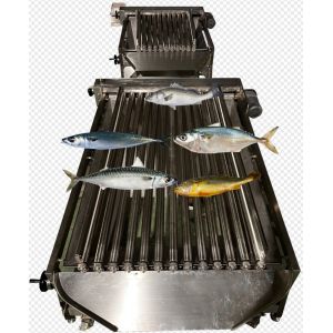 Most Stable Sardine Fish Grading Machine, Sorting Other Small Fish With Large