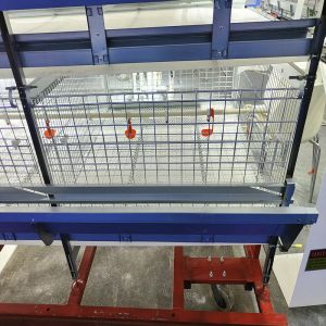 China Low Noise H Type Battery Cage For Broilers With Automatic Feeding System on sale