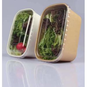 Square SGS Paper Take Away Box Biodegradable Disposable