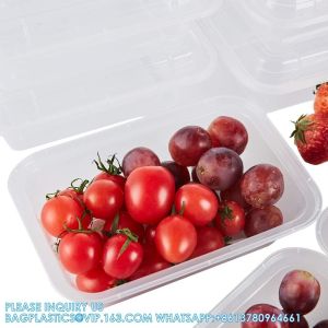 Compartment 24 OZ Meal Prep Plastic Food Storage Containers Reusable Lunch Bento