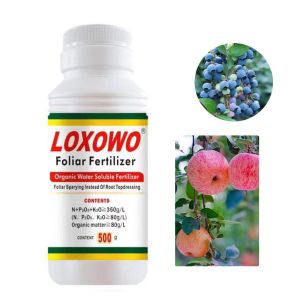 Fruit Melon Root Swollen Organic Water Soluble Vegetable Fertilizer Large