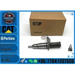 3116 Engine Fuel Injector 4P-2995 162-0212 162-0218 418-8820 0R-8461 0R-8469 0R