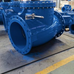 Flanged EPDM Swing Check Valve for Water Gas Oil - ANSI / BS Standard by Veyron