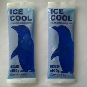 pretty ice pack for cold storage