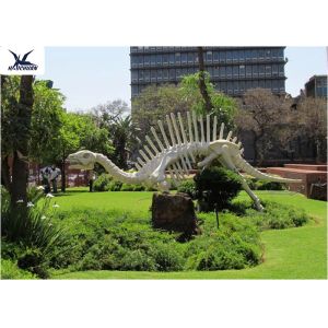 Outdoor Dinosaur Skeleton Model , Customized T Rex Skull Replica Full Size