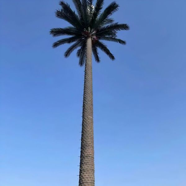 10 20 30 40 50 60 70 80 M Hot Dipped Galvanized Camouflaged Pole Palm / Pine