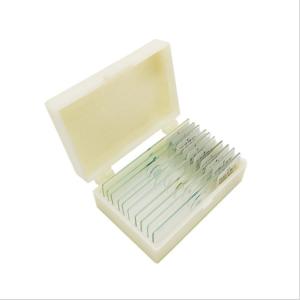 Cheap 12pcs Microscope Customization Prepared Botany Slides With Storage Case for sale