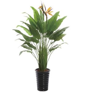 Epipremnum Aureum Artificial Potted Plants For Home Decor , Artificial House