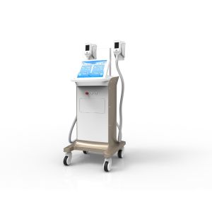 China -15~5 ℃ adjustable Vertical Cryolipolysis Fat Freeze Slimming Machine with CE Certification on sale