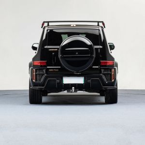 2023 Tank 300 Upgrade Version 700 Super 4x4 SUV Off-road Gasoline Car with Car