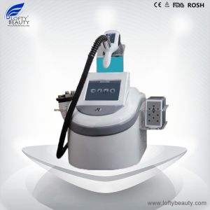 Buy cheap Lofty Beauty Cryolipolysis+Cavitation+RF+Lipo Laser 4 in 1 Slimming Beauty from wholesalers