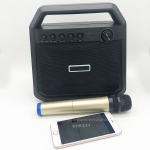 Outdoor Battery Powered Bluetooth Speaker Bluetooth Amplifier Karaoke TWS