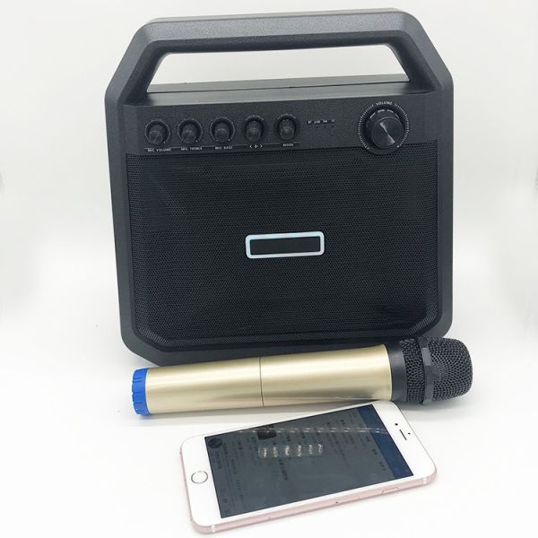 Outdoor Battery Powered Bluetooth Speaker Bluetooth Amplifier Karaoke TWS