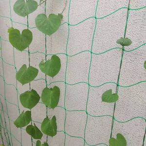 Garden Yard Green 1.8m2 Plastic Climber Plant Supporting Net