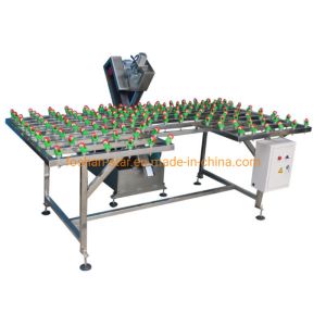 Convection Model Tempering Furnace Glass Fast Grinding Machine with Remote