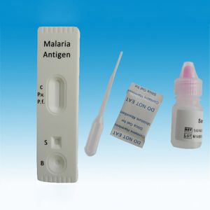 One Step Medical Diagnostic Malaria Rapid Card Test Home Use