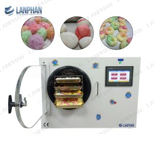 0.3m2 Home Freeze Dryer Benchtop Freeze Drying Machine Small Vacuum Drying