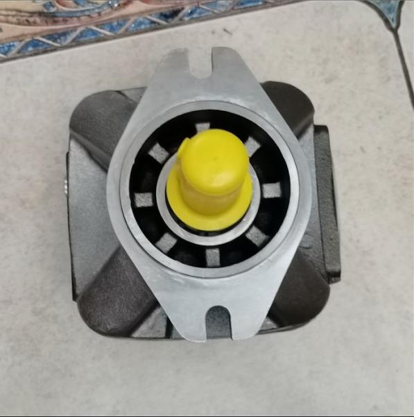 German Original Rexroth Gear Pump with 315 bar Maximum Pressure and 28cc to