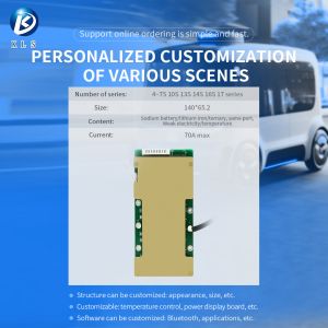 E-Bike Solar Storage Lithium Ion Battery Pack BMS 10S 13S 14S 16S 17S 36V 100A